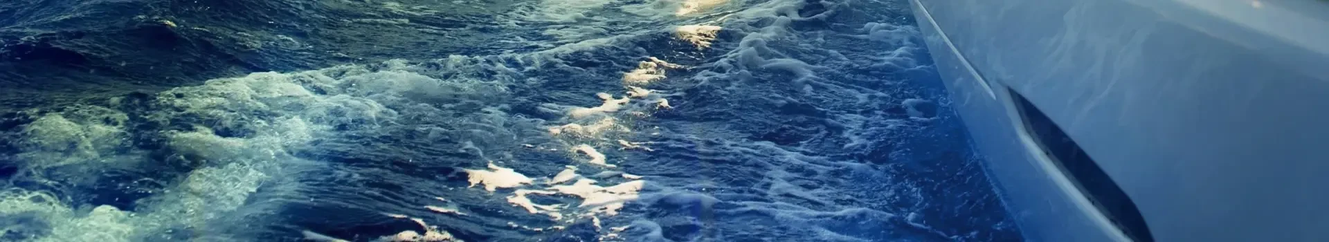 Zdjęcie - Szanty, węzły i arkana żeglarstwa